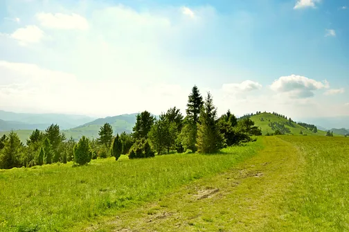 Grzbietem Małych Pienin z Jaworek do Szczawnicy
