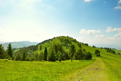 Wysoki Wierch (900 m n.p.m.)