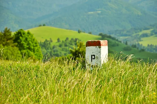Grzbietem Małych Pienin z Jaworek do Szczawnicy