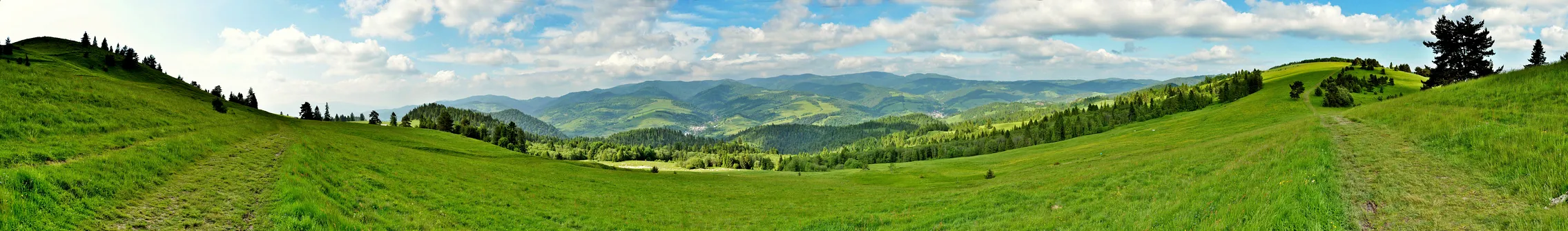 Panorama spod Wysokiego Wierchu