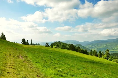 Grzbietem Małych Pienin z Jaworek do Szczawnicy
