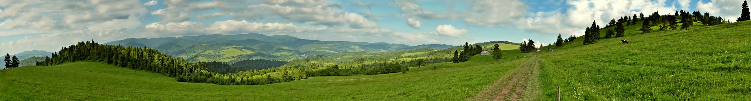 Panorama na dolinę Grajcarka, Durbaszkę i Wysoki Wierch