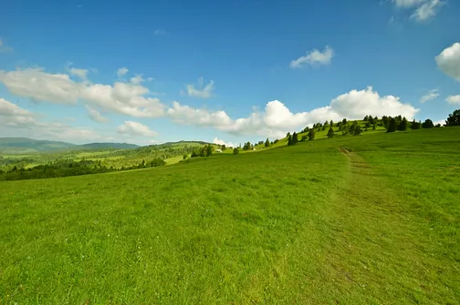 Grzbietem Małych Pienin z Jaworek do Szczawnicy