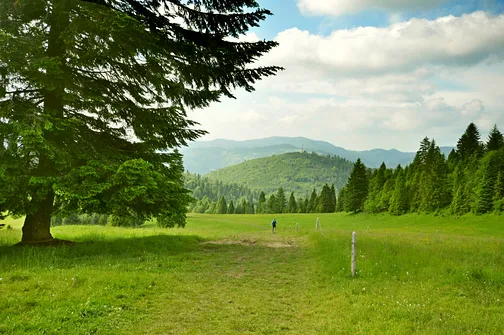Grzbietem Małych Pienin z Jaworek do Szczawnicy