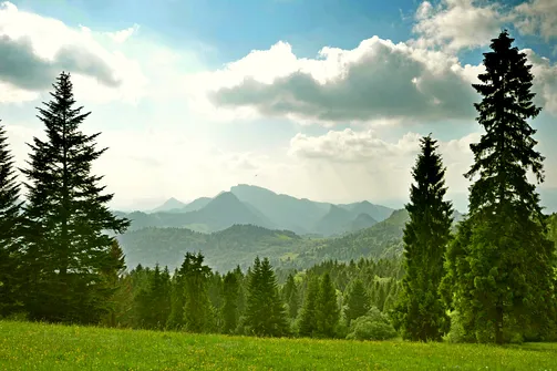 Grzbietem Małych Pienin z Jaworek do Szczawnicy