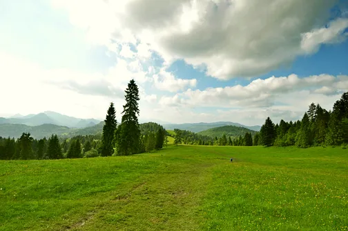 Grzbietem Małych Pienin z Jaworek do Szczawnicy