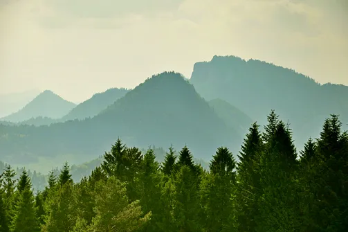Grzbietem Małych Pienin z Jaworek do Szczawnicy