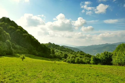 Grzbietem Małych Pienin z Jaworek do Szczawnicy