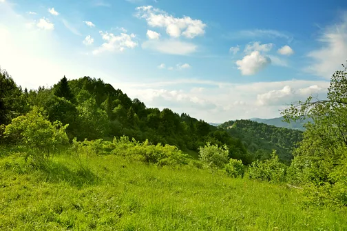Szafranówka (742 m n.p.m.) i Palenica (719 m n.p.m.)