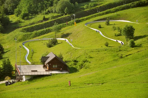 Grzbietem Małych Pienin z Jaworek do Szczawnicy