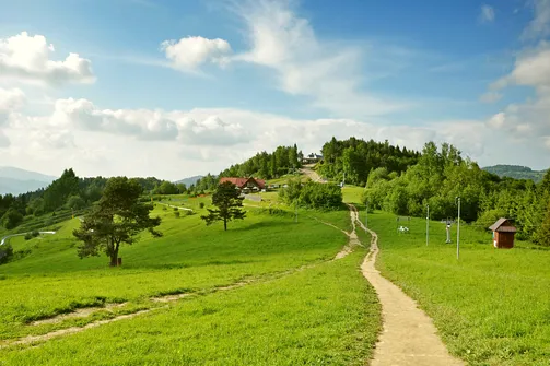 Na Przełęczy Maćkówki