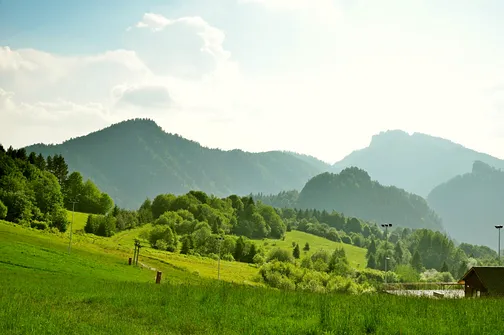 Grzbietem Małych Pienin z Jaworek do Szczawnicy