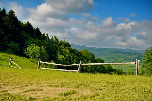 Grzbietem Małych Pienin z Jaworek do Szczawnicy