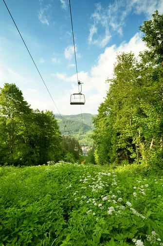 Grzbietem Małych Pienin z Jaworek do Szczawnicy