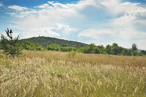 Karczówka, Patrol, Biesak - szczyty Korony Gór Świętokrzyskich