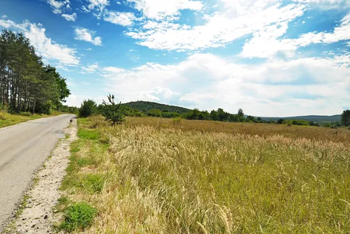 Karczówka, Patrol, Biesak - szczyty Korony Gór Świętokrzyskich
