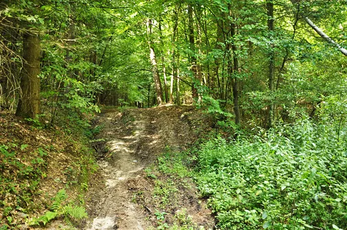 Karczówka, Patrol, Biesak - szczyty Korony Gór Świętokrzyskich