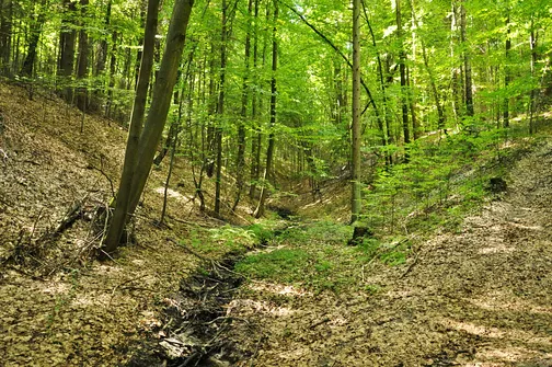 Karczówka, Patrol, Biesak - szczyty Korony Gór Świętokrzyskich