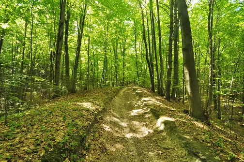 Karczówka, Patrol, Biesak - szczyty Korony Gór Świętokrzyskich