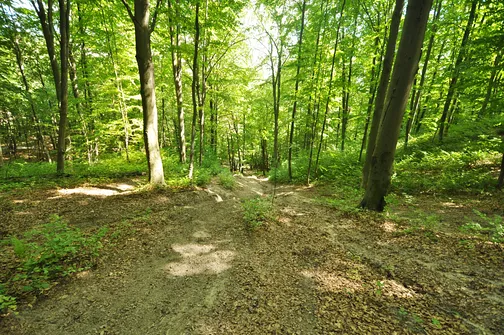 Karczówka, Patrol, Biesak - szczyty Korony Gór Świętokrzyskich