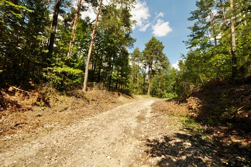 Karczówka, Patrol, Biesak - szczyty Korony Gór Świętokrzyskich