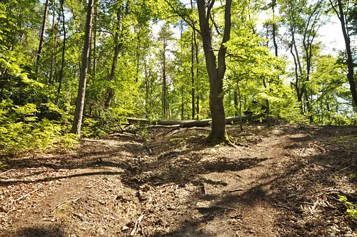 Karczówka, Patrol, Biesak - szczyty Korony Gór Świętokrzyskich