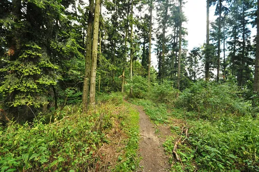Karczówka, Patrol, Biesak - szczyty Korony Gór Świętokrzyskich