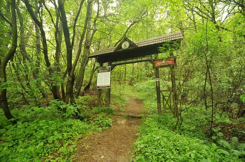 Chełmowa Góra - wzniesienie Pasma Pokrzywiańskiego w Górach Świętokrzyskich