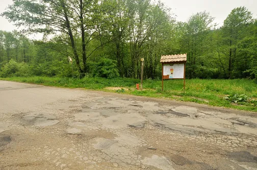 Chełmowa Góra - wzniesienie Pasma Pokrzywiańskiego w Górach Świętokrzyskich