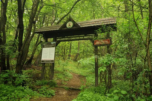 Chełmowa Góra - wzniesienie Pasma Pokrzywiańskiego w Górach Świętokrzyskich