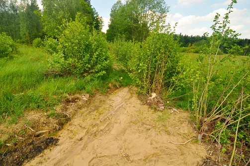 Drogosiowa - najwyższy szczyt Pasma Bielińskiego