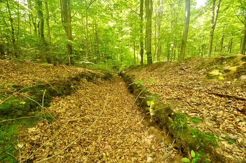 Drogosiowa - najwyższy szczyt Pasma Bielińskiego