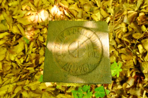 Drogosiowa - najwyższy szczyt Pasma Bielińskiego