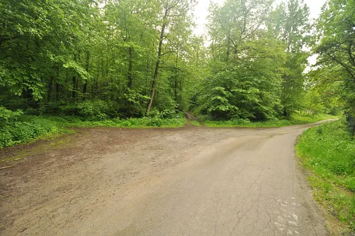 Szczytniak - drugi po Łysicy najwyższy szczyt Korony Gór Świętokrzyskich