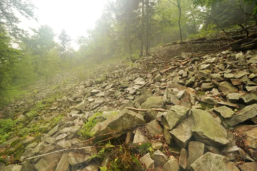 Szczytniak - drugi po Łysicy najwyższy szczyt Korony Gór Świętokrzyskich
