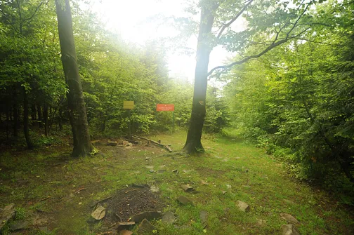 Szczytniak - drugi po Łysicy najwyższy szczyt Korony Gór Świętokrzyskich