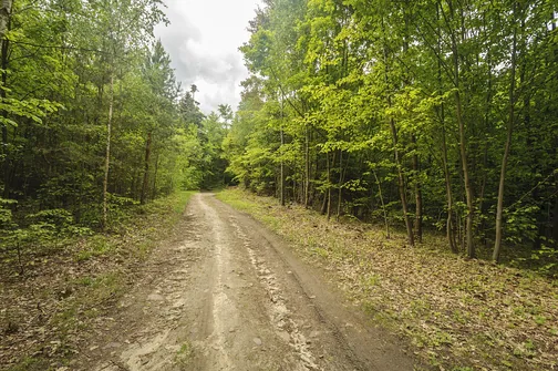 Altana - najwyższe wzniesienie województwa mazowieckiego