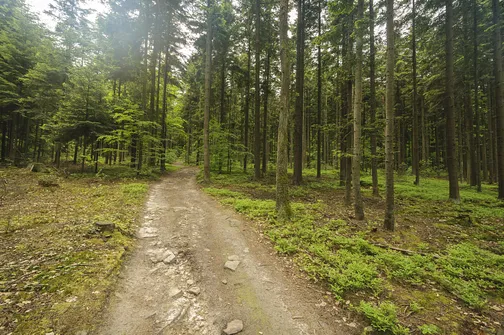 Altana - najwyższe wzniesienie województwa mazowieckiego