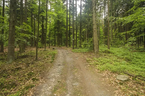 Altana - najwyższe wzniesienie województwa mazowieckiego