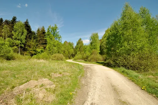 Dobrzeszowska - szczyt Pasma Dobrzeszowskiego w Górach Świętokrzyskich