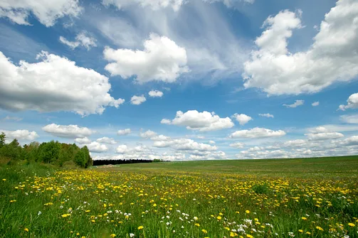 Dobrzeszowska - szczyt Pasma Dobrzeszowskiego w Górach Świętokrzyskich