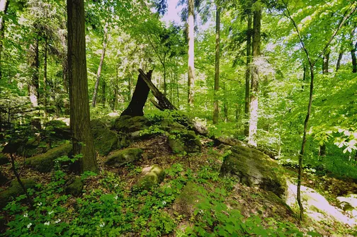 Dobrzeszowska - szczyt Pasma Dobrzeszowskiego w Górach Świętokrzyskich