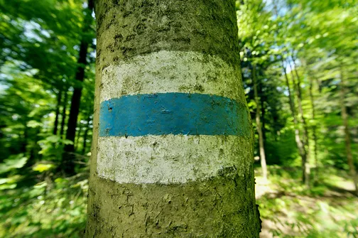 Dobrzeszowska - szczyt Pasma Dobrzeszowskiego w Górach Świętokrzyskich