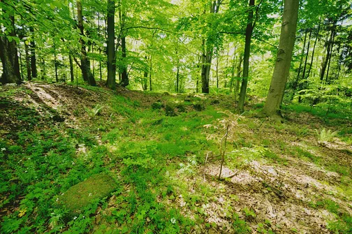 Dobrzeszowska - szczyt Pasma Dobrzeszowskiego w Górach Świętokrzyskich