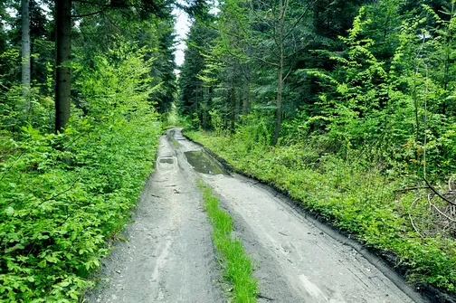 Dobrzeszowska - szczyt Pasma Dobrzeszowskiego w Górach Świętokrzyskich