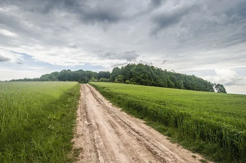 Siniewska - najwyższe wzniesienie Pasma Oblęgorskiego