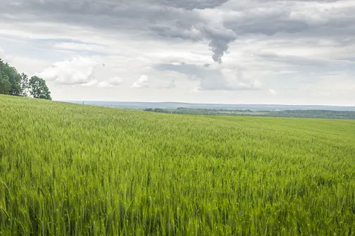 Siniewska - najwyższe wzniesienie Pasma Oblęgorskiego