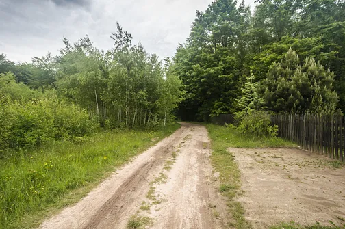 Siniewska - najwyższe wzniesienie Pasma Oblęgorskiego