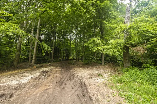 Siniewska - najwyższe wzniesienie Pasma Oblęgorskiego