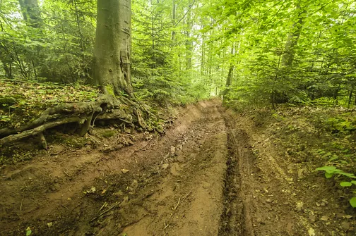 Siniewska - najwyższe wzniesienie Pasma Oblęgorskiego